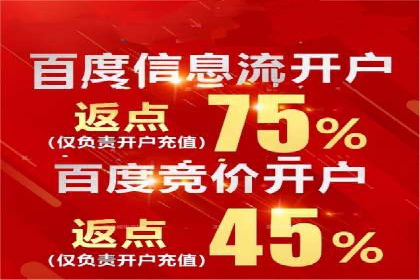 百度竞价托管公司案例：揭秘高效广告投放策略